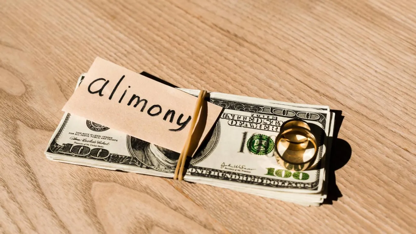 alimony money prepared by a taxpayer