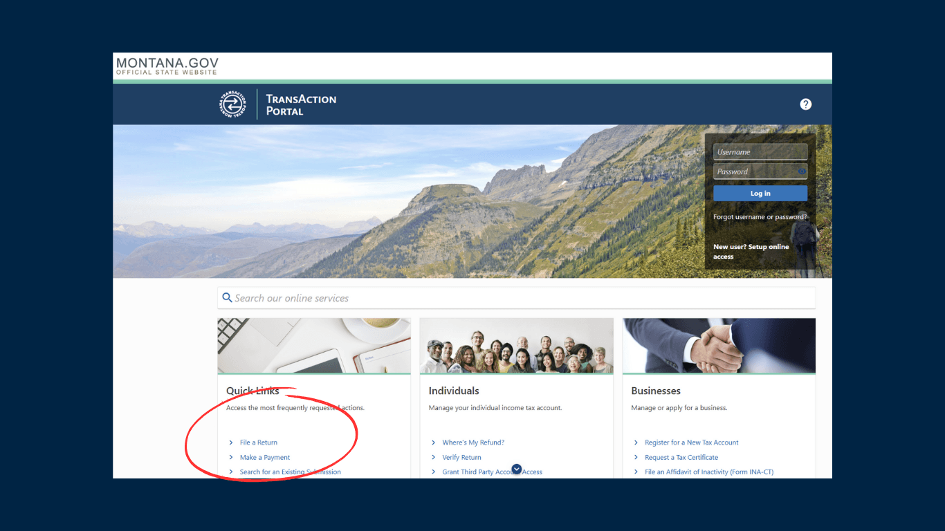 Montana Payment Portal Snapshot
