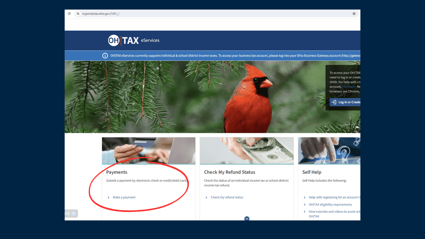 Ohio Tax eService Website